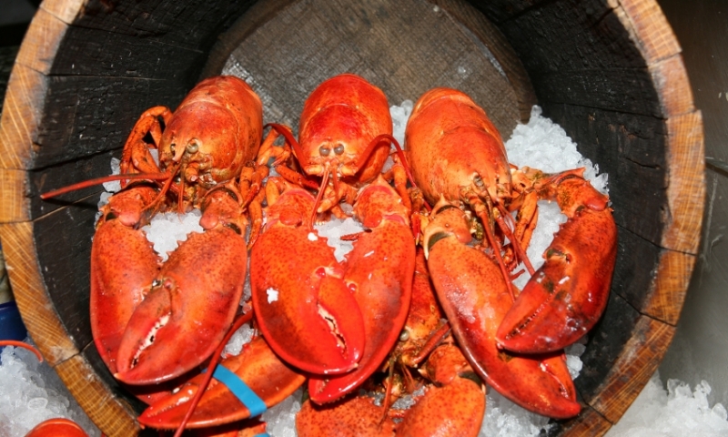 Best Restaurants for Lobster in Bar Harbor